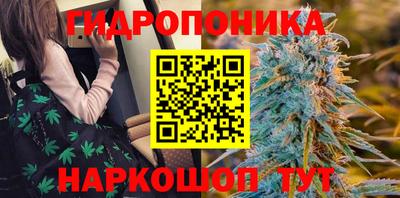 молекула духа Ливны