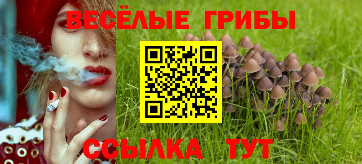 Псилоцибиновые грибы прущие грибы  Вход с VPN  Камень-на-Оби 